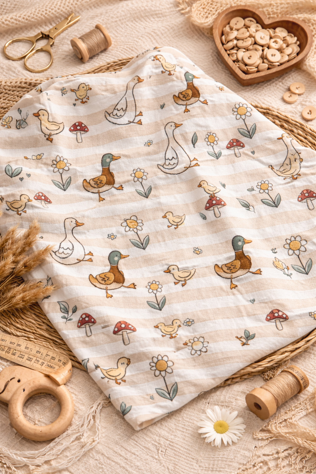 Canards