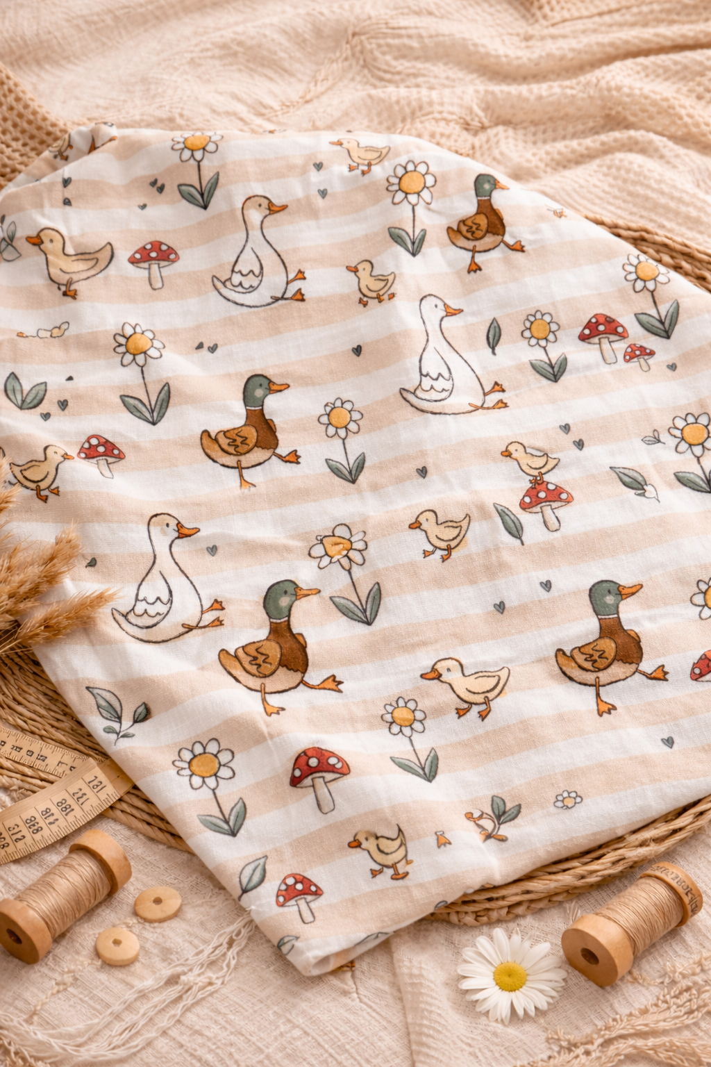 Canards