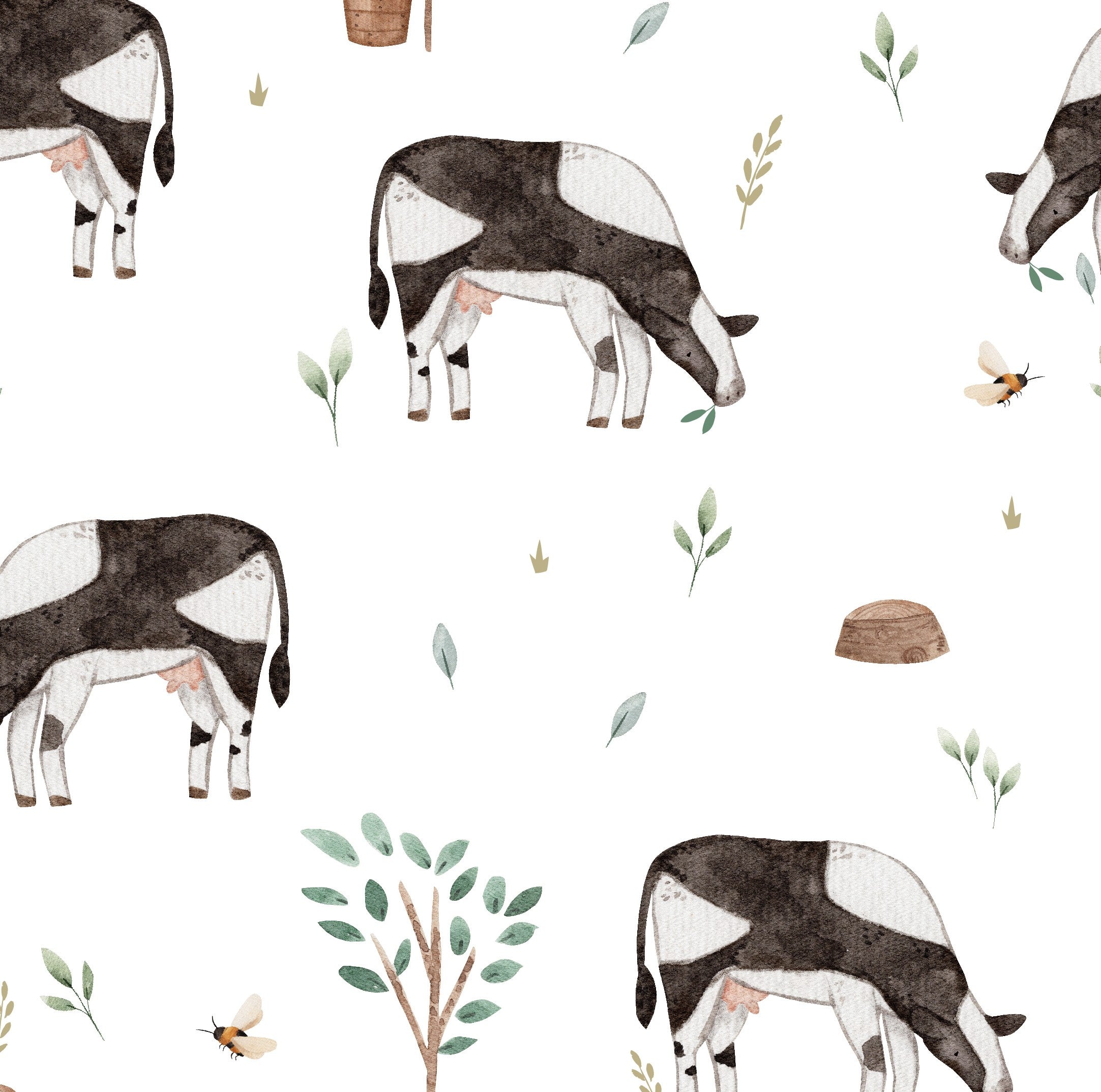 Vaches