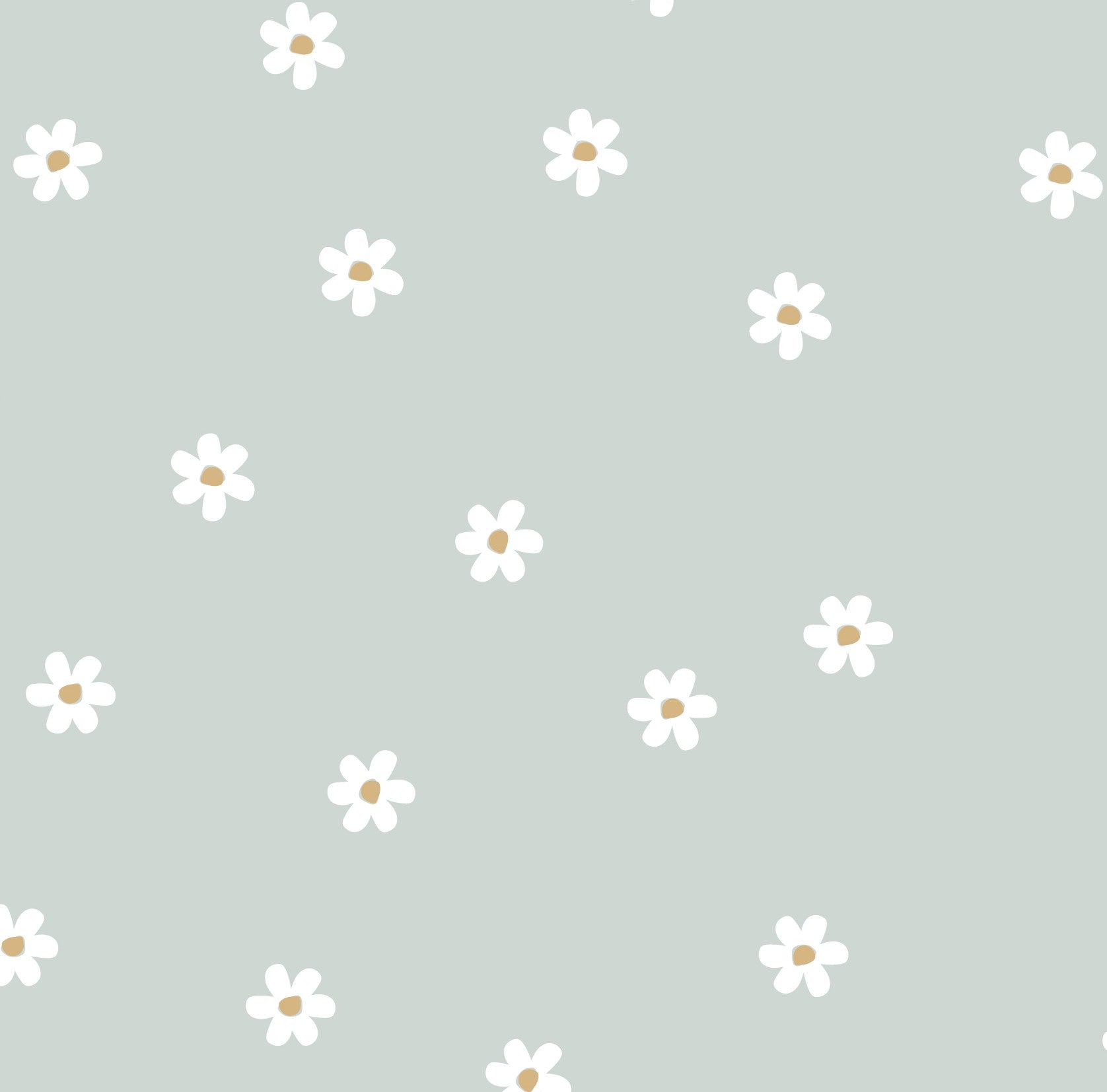 Pâquerette à la menthe