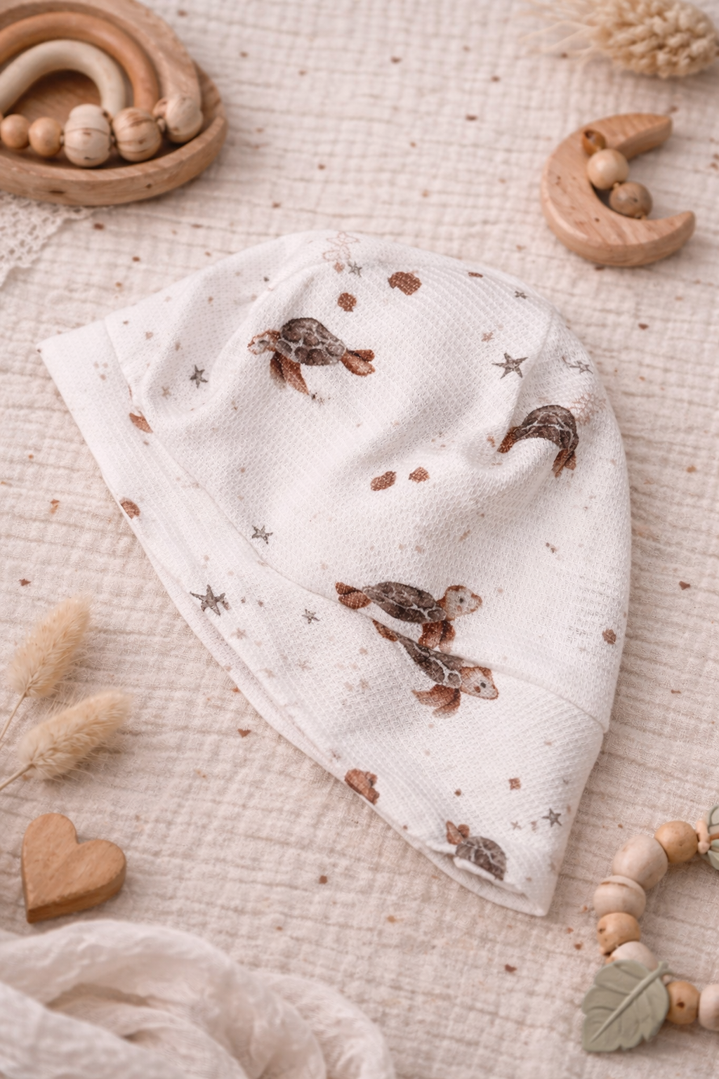 Sonnenhut Schildkröte