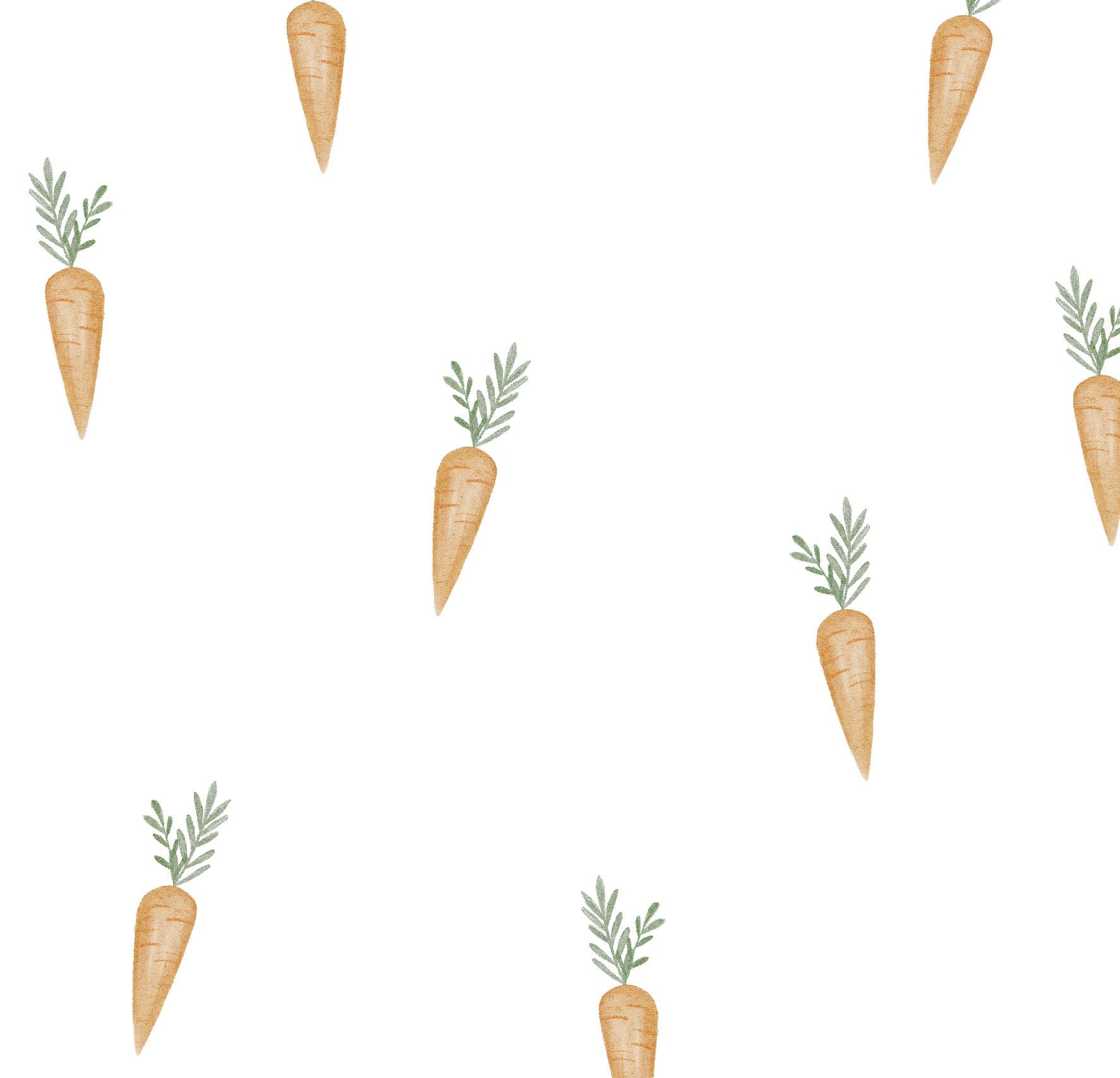 Carottes