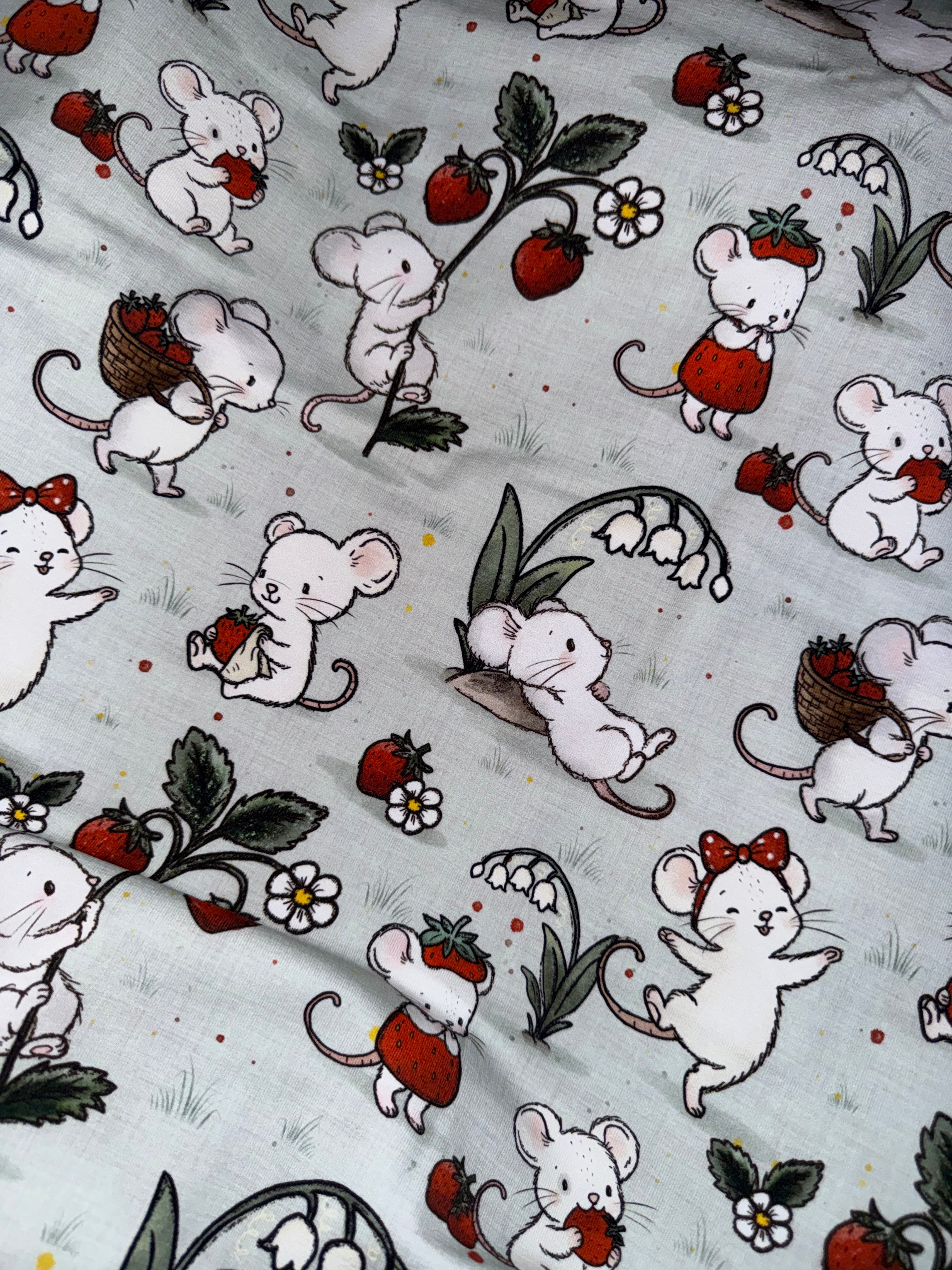 Souris aux fraises