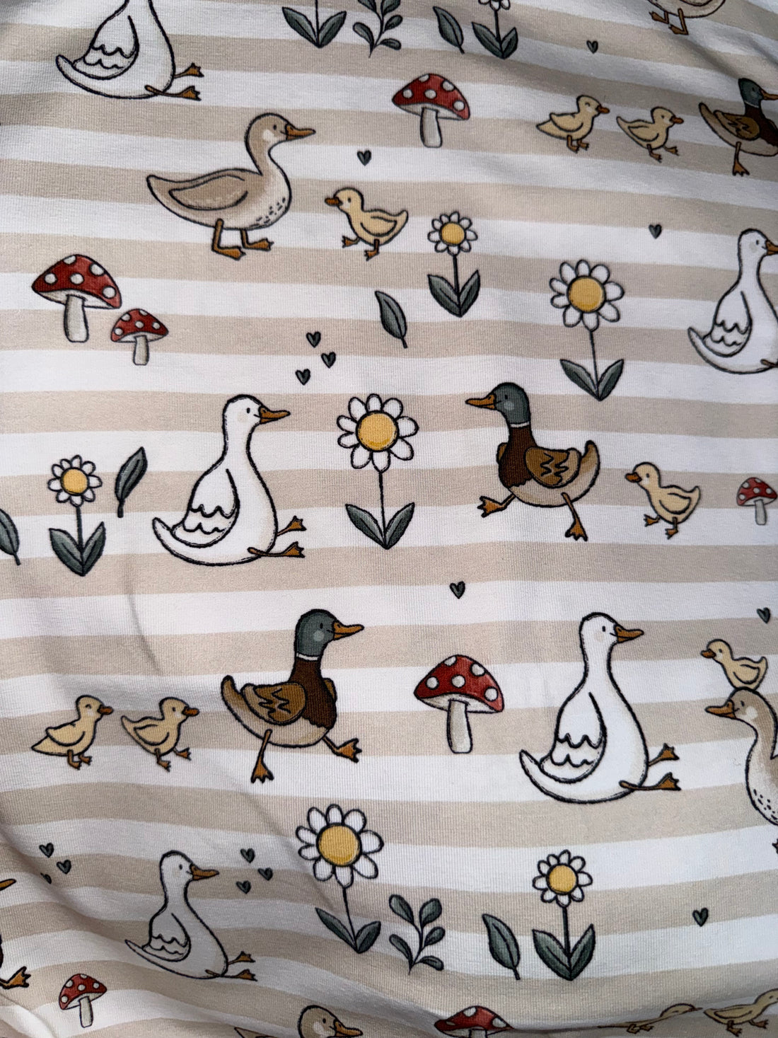 Reststück Enten Musselin