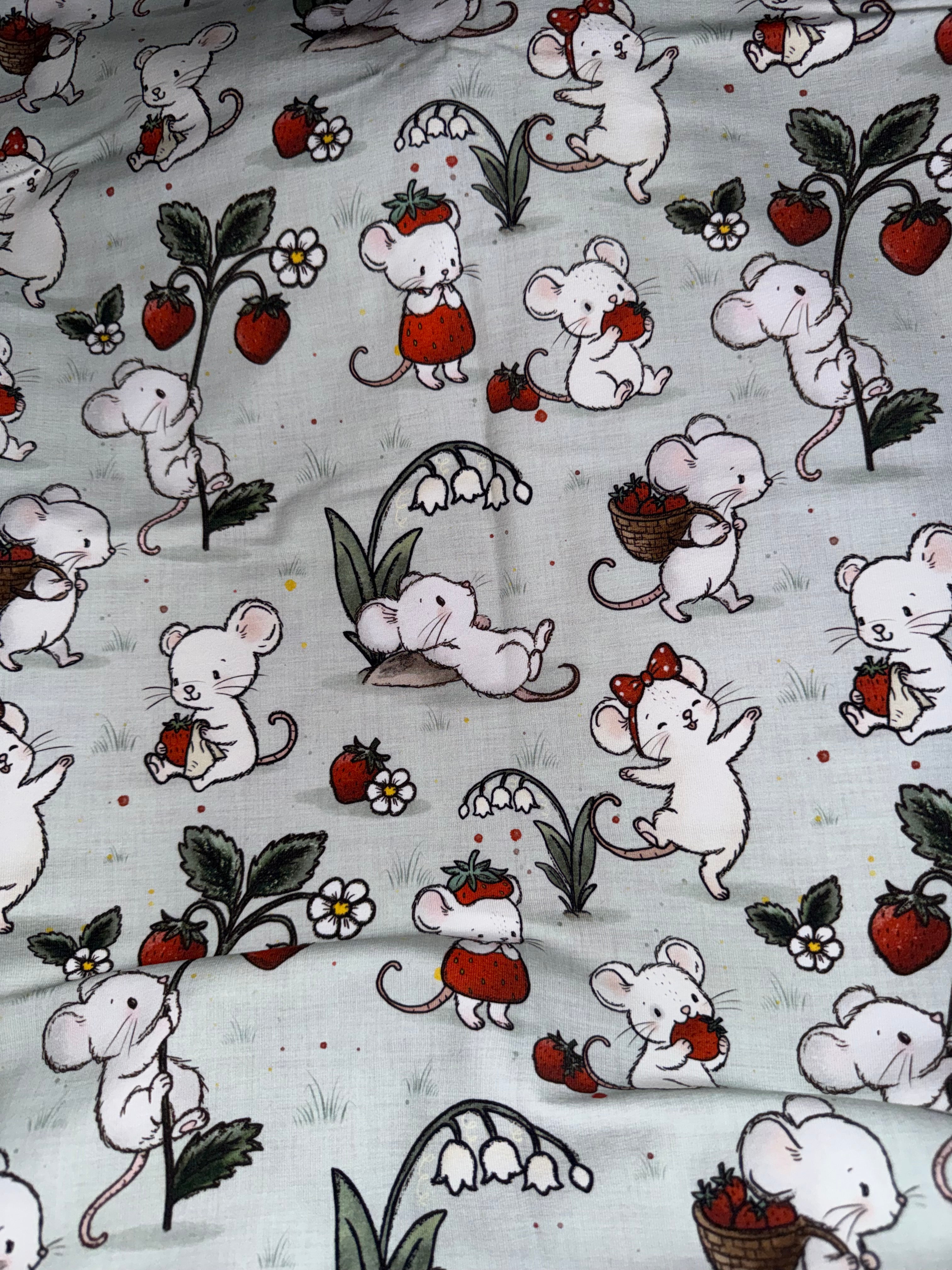 Souris aux fraises