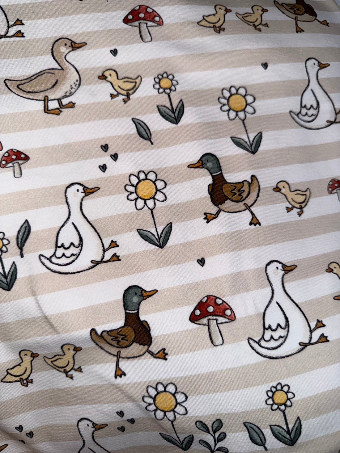 Reststück Enten Musselin