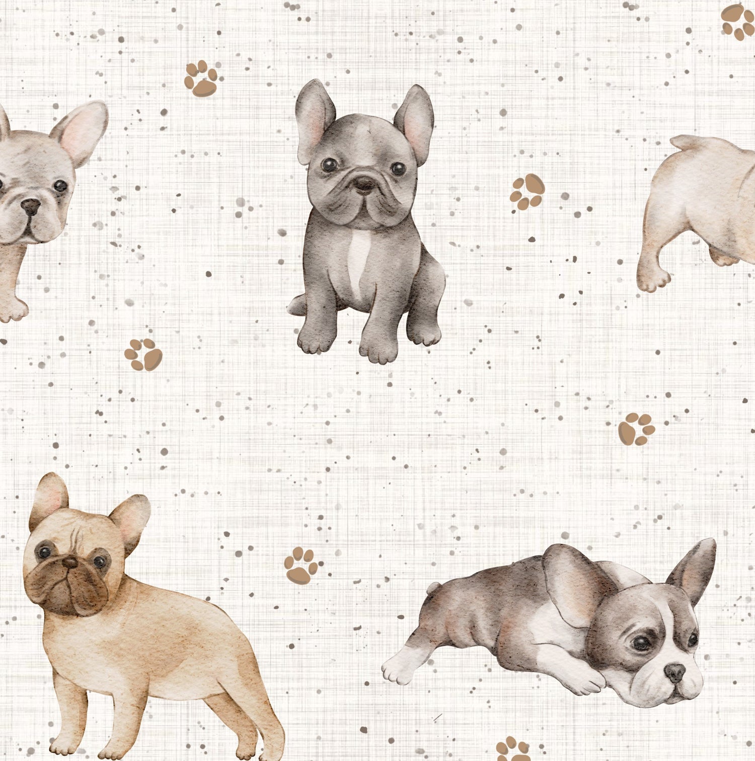 Bouledogues