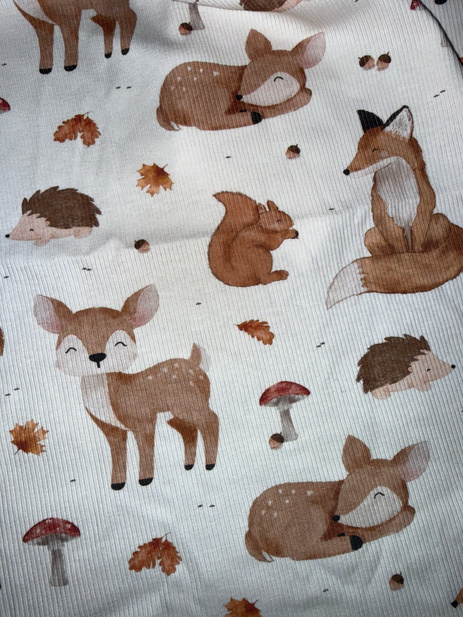 Tissu jersey côtelé animaux de la forêt cerf et Cie