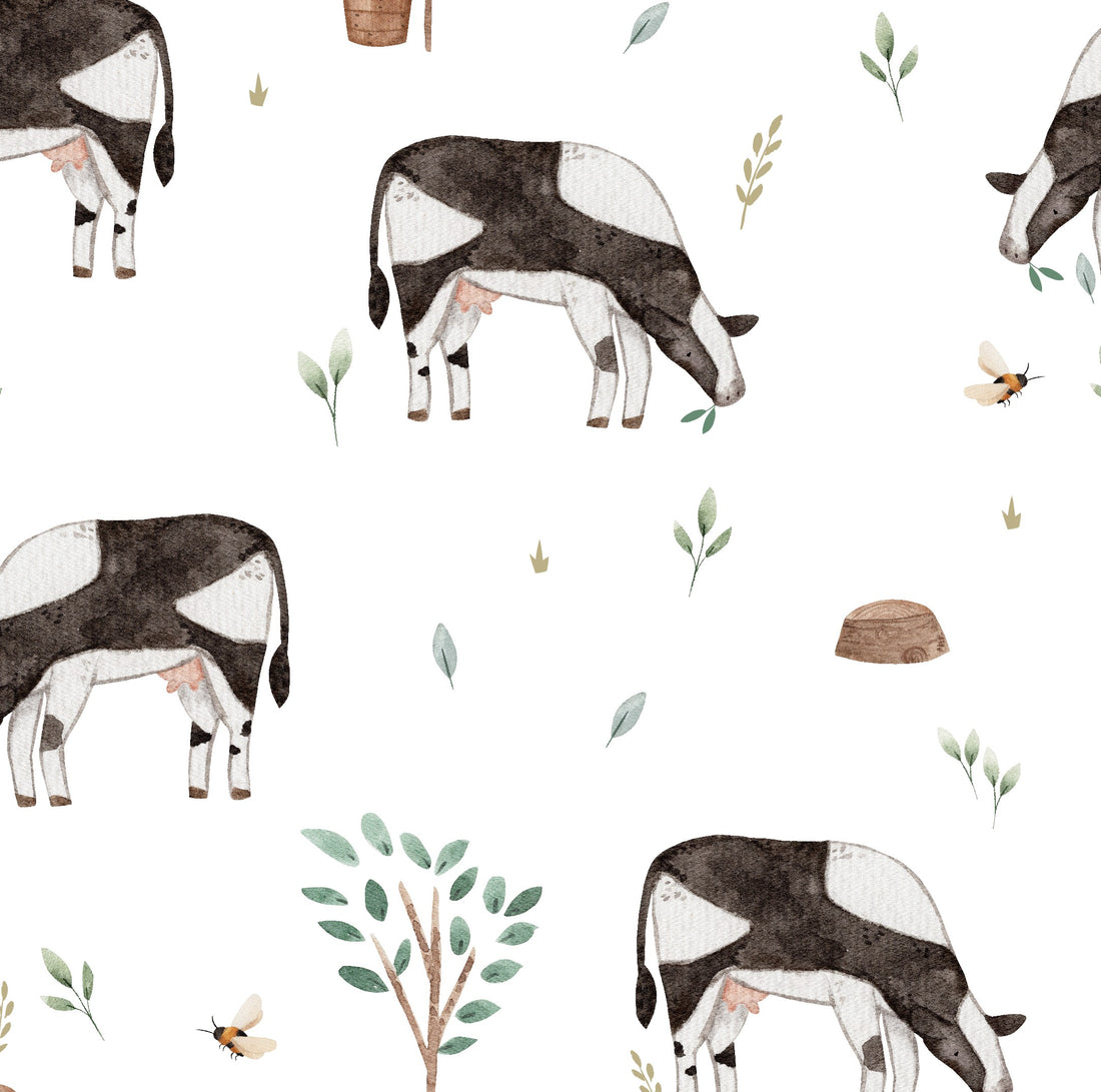 Vaches