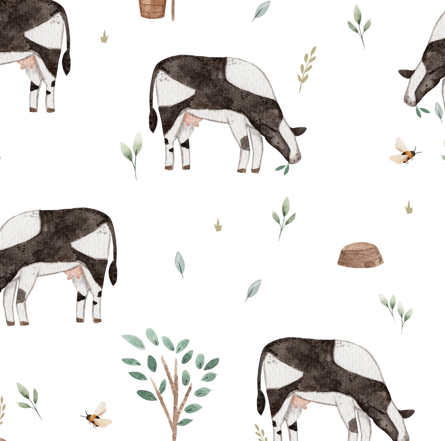 Vaches
