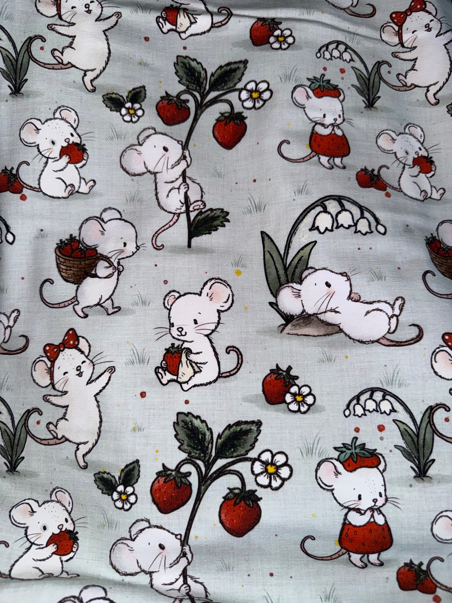 Souris aux fraises