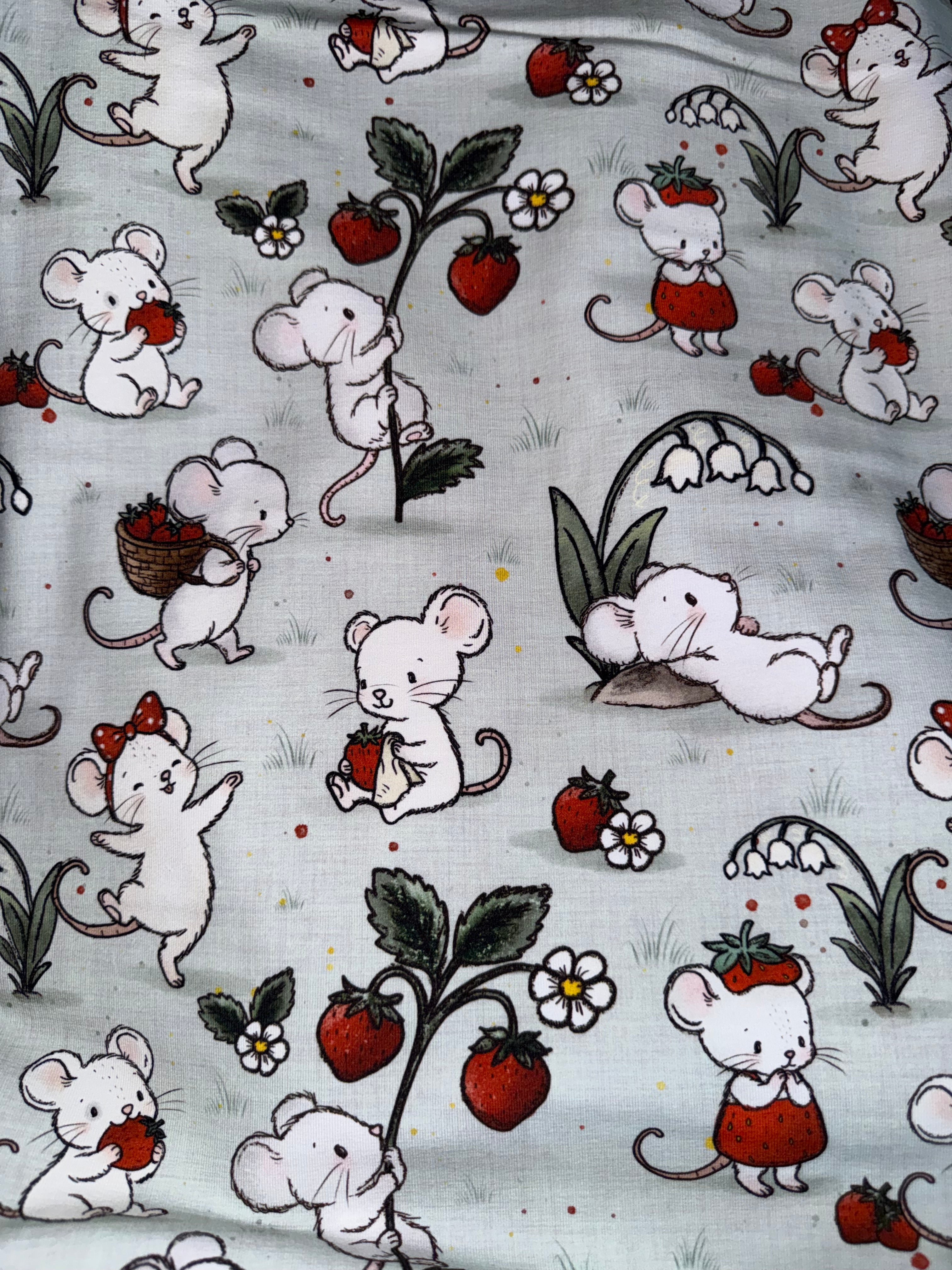 Souris aux fraises