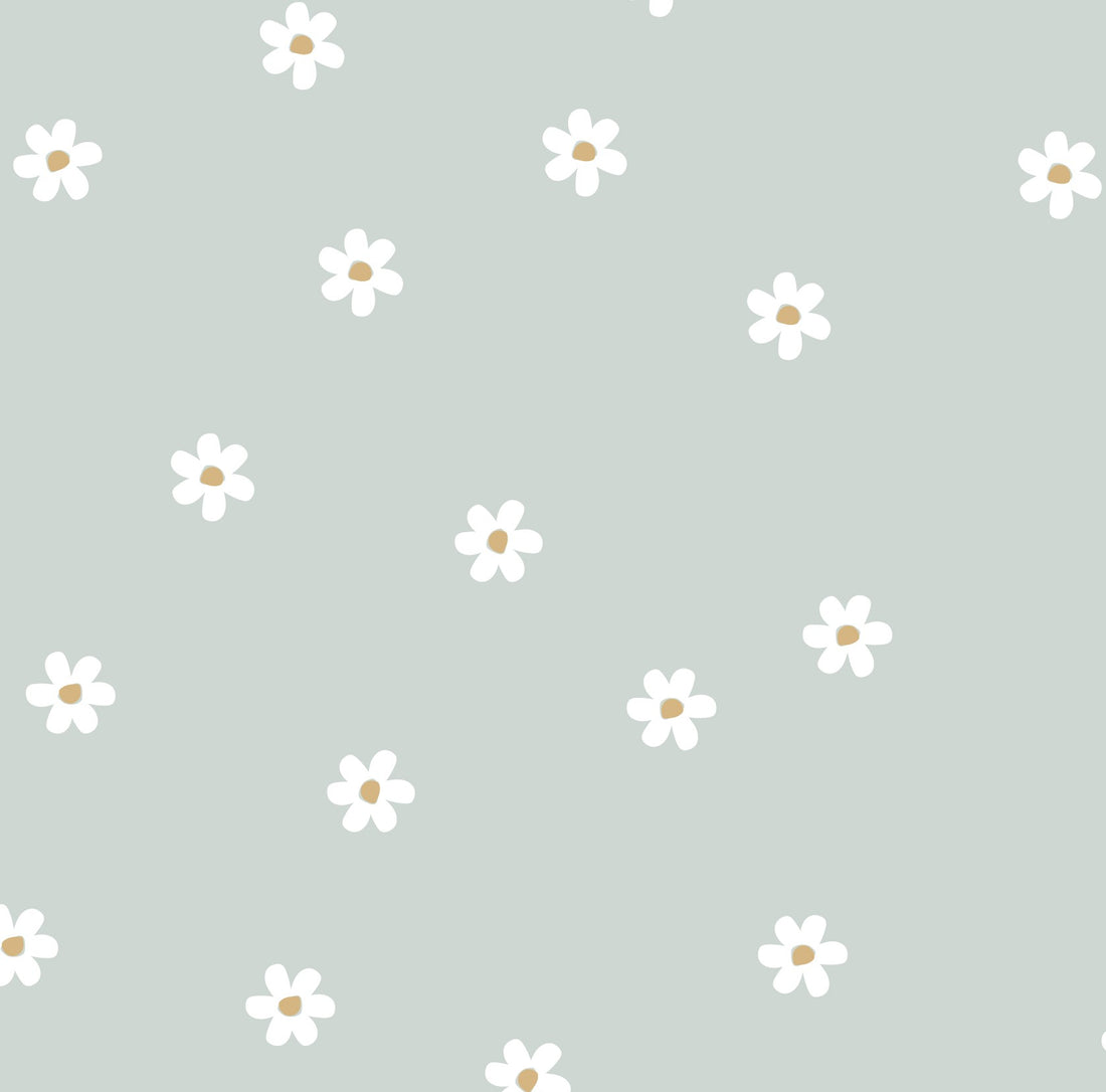 Pâquerette à la menthe