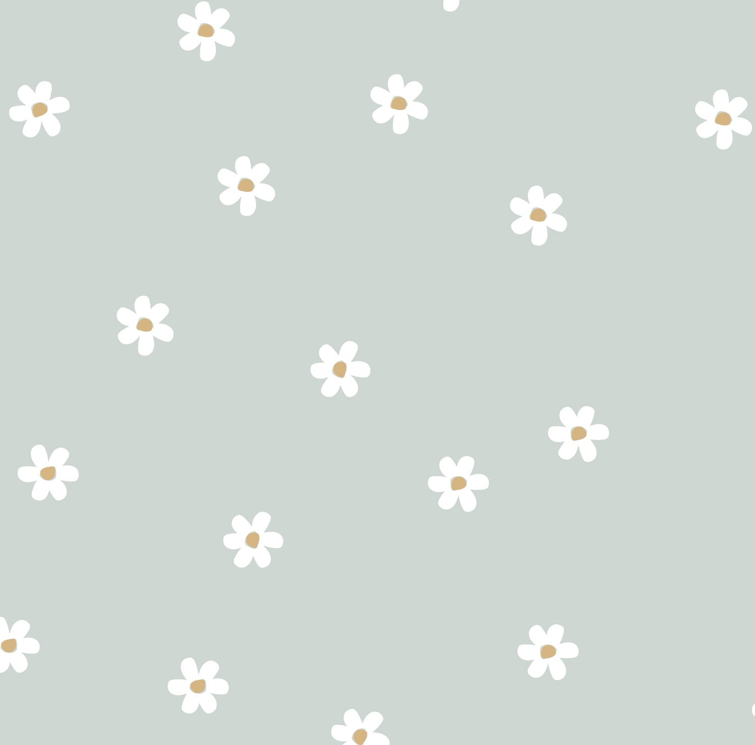 Pâquerette à la menthe