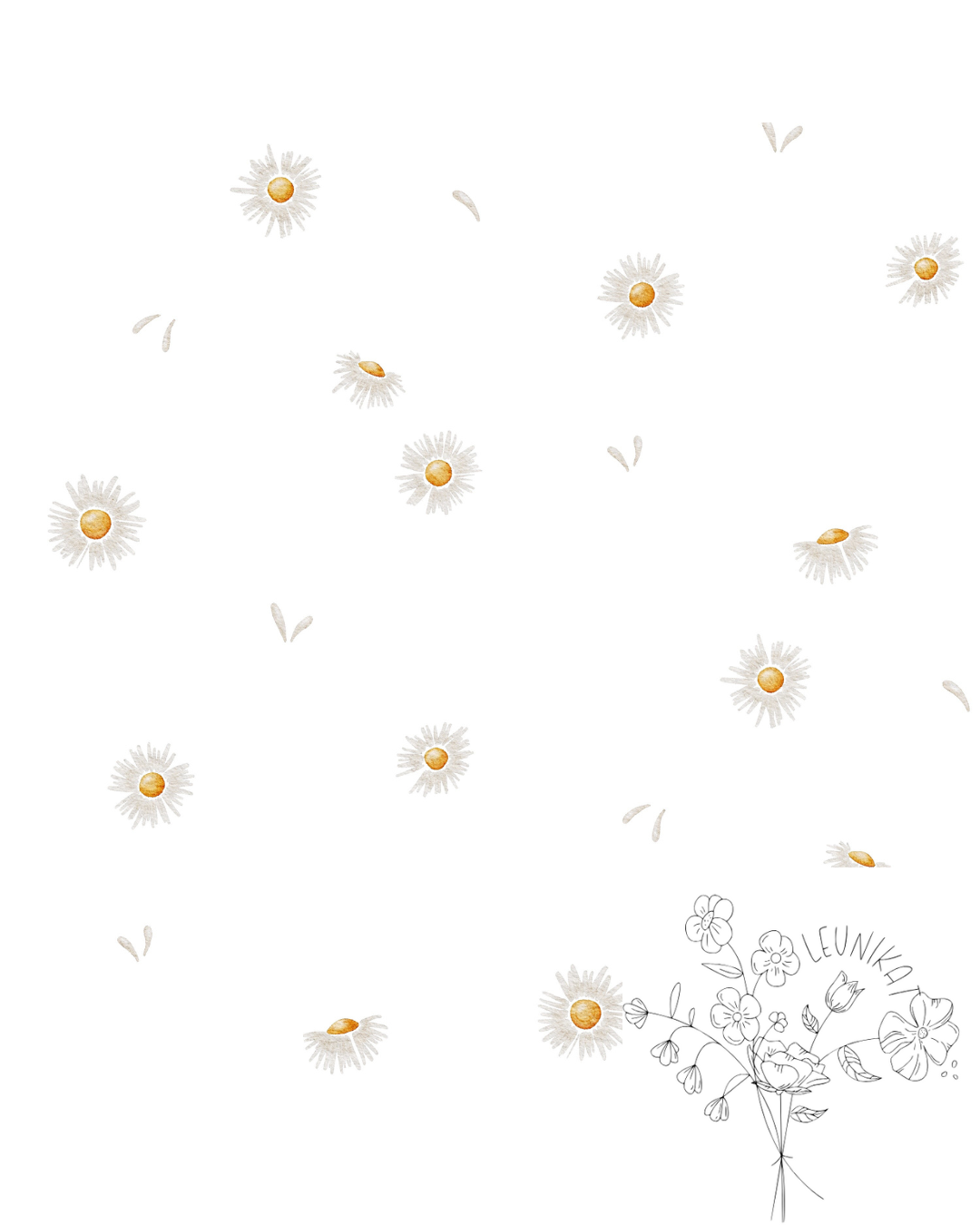 Gänseblümchen weiß