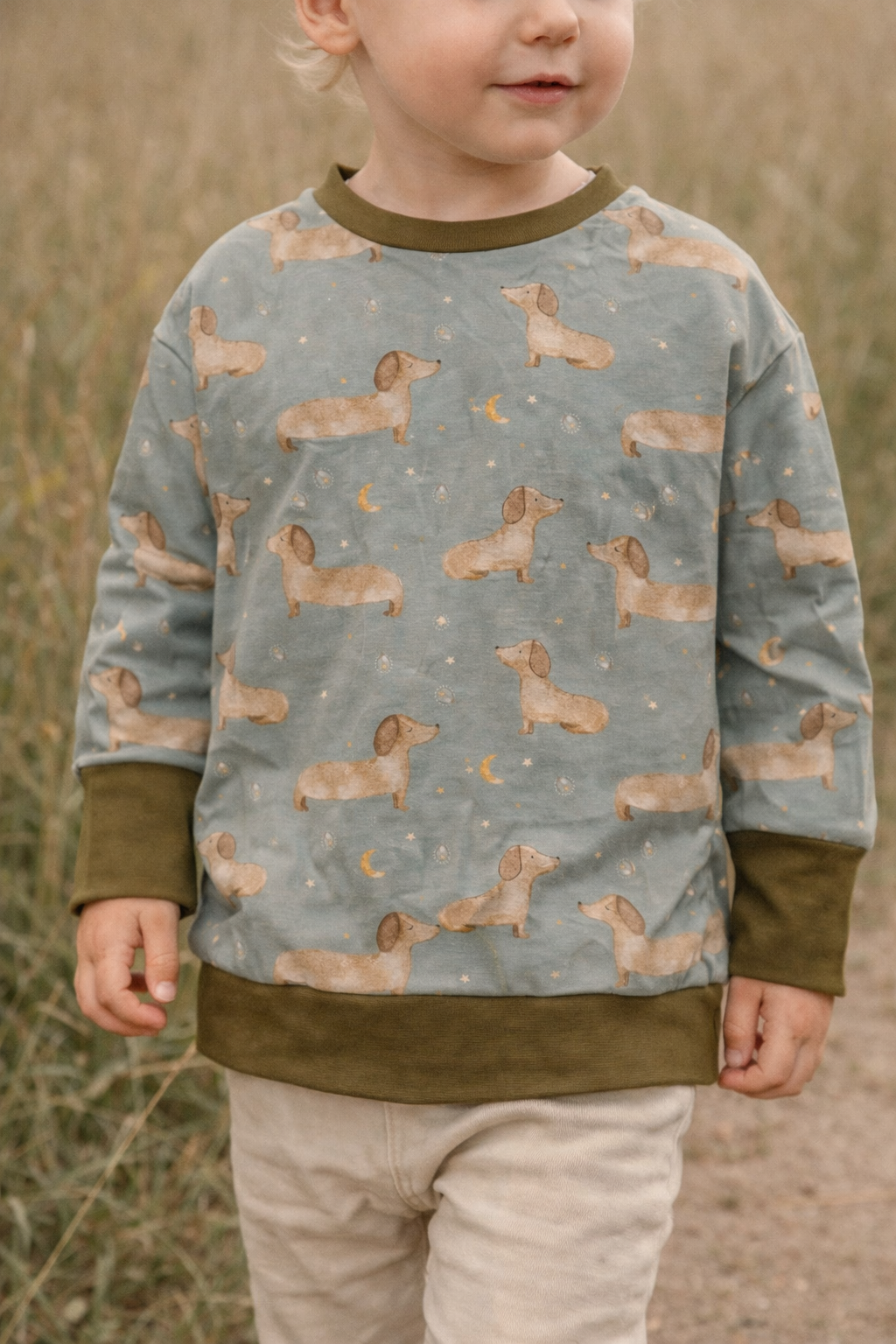 Pull oversize Teckel