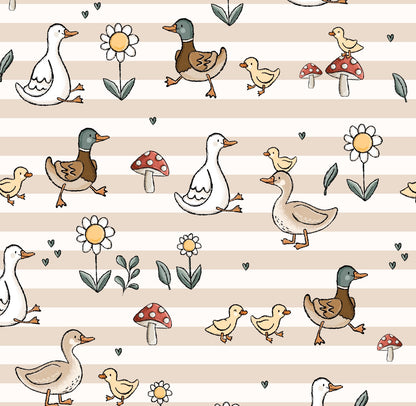 Canards