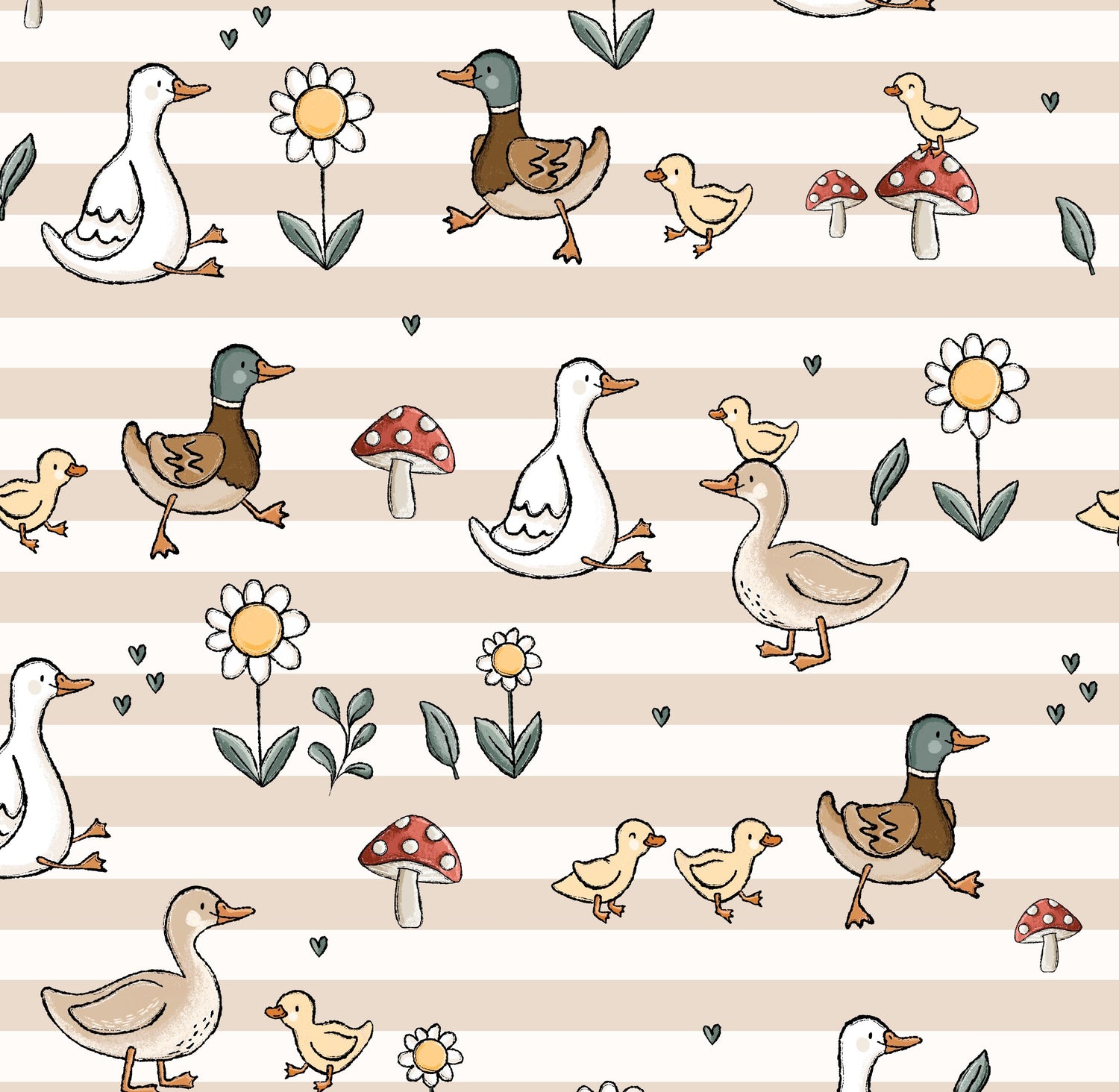 Canards
