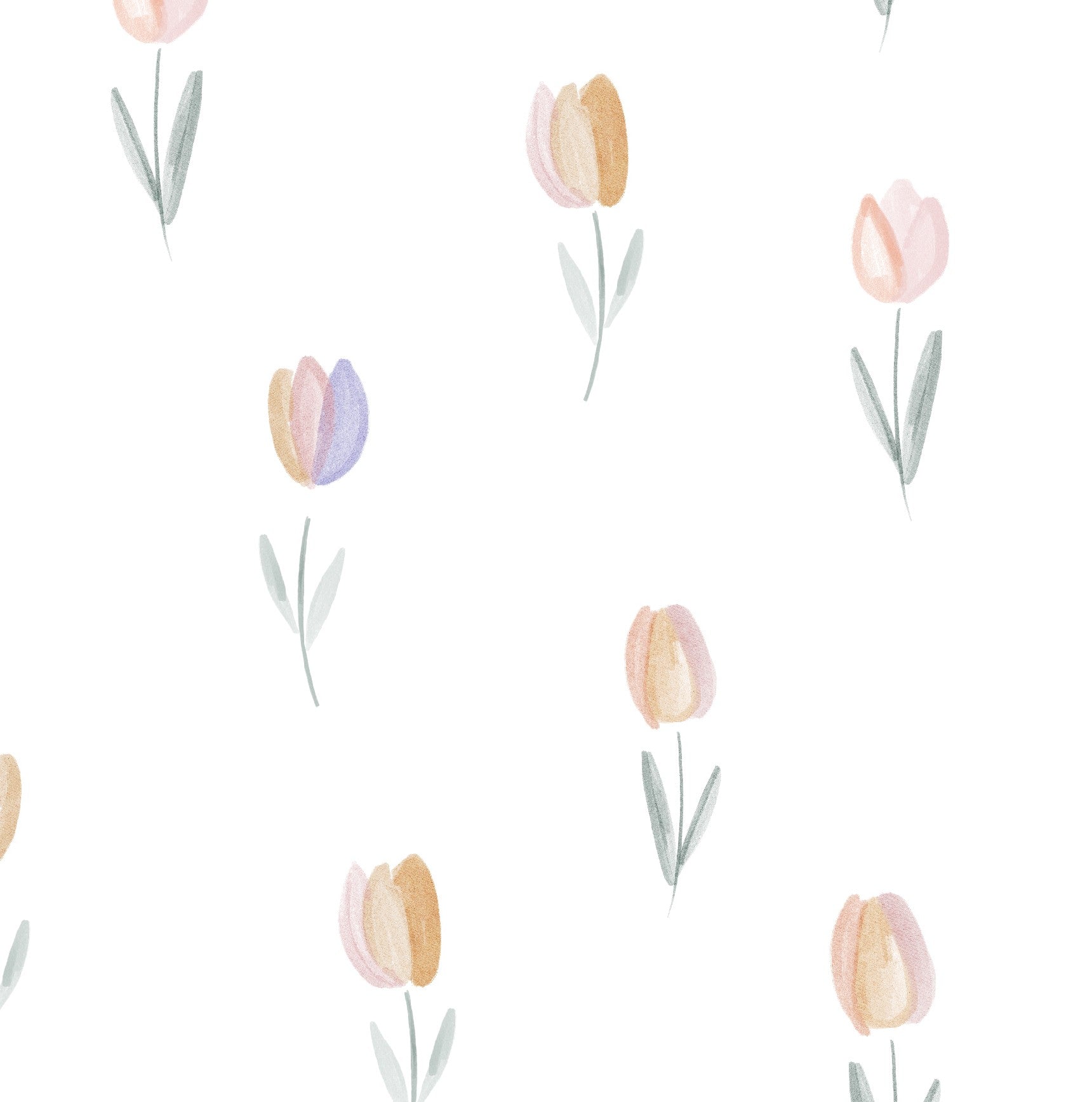 Tulipes