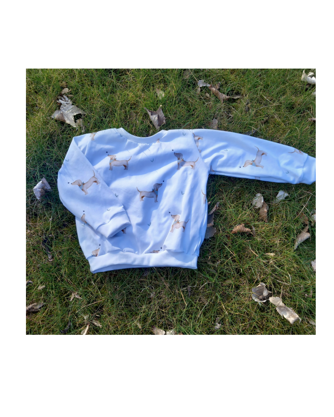 Oversize Pullover &quot;Hund und Biene