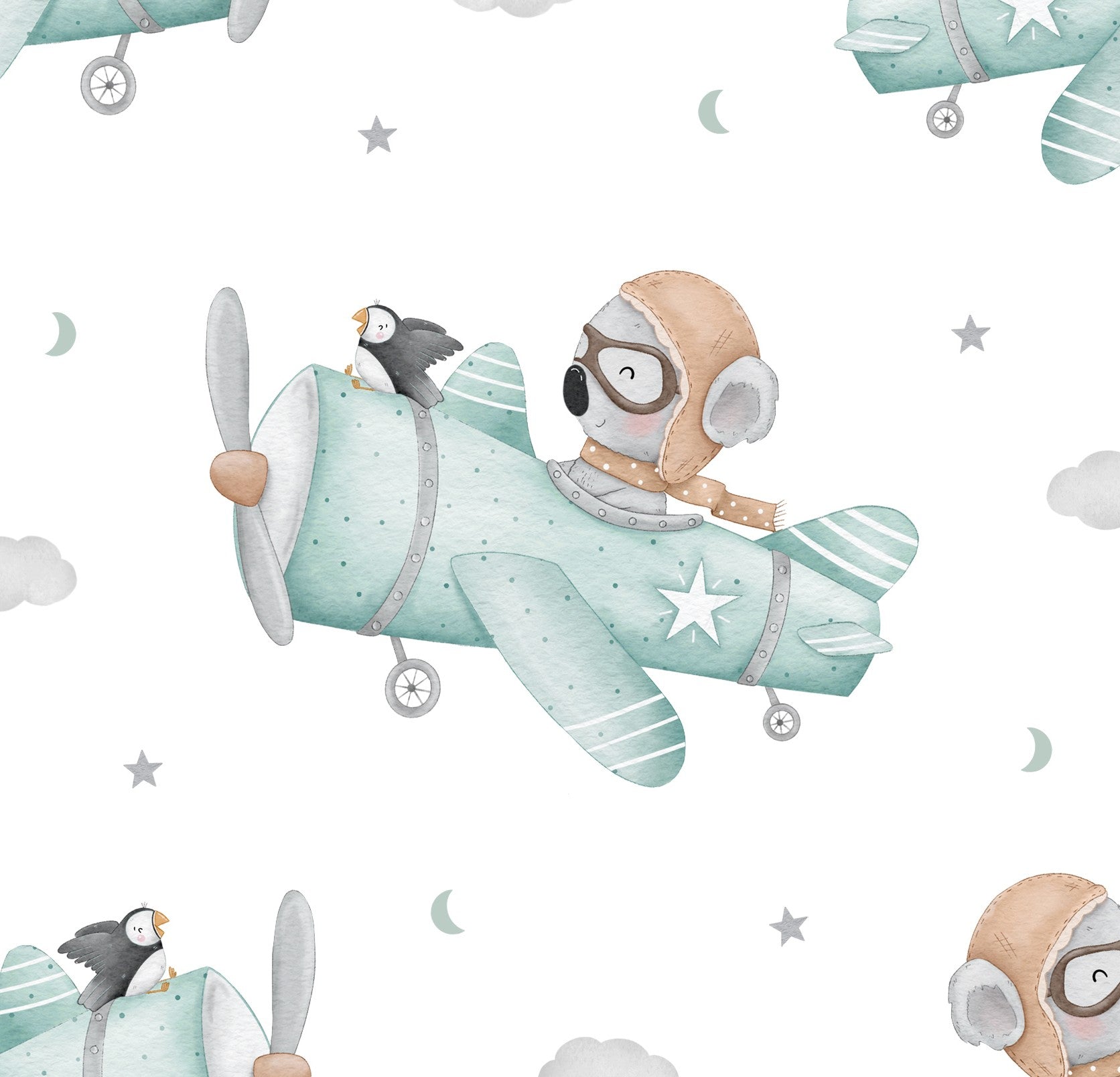 Avion Koala