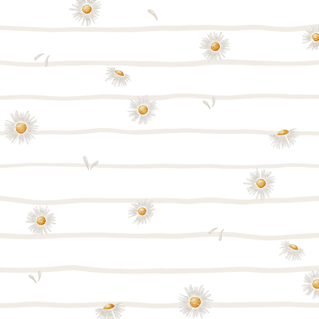Lignes de pâquerettes