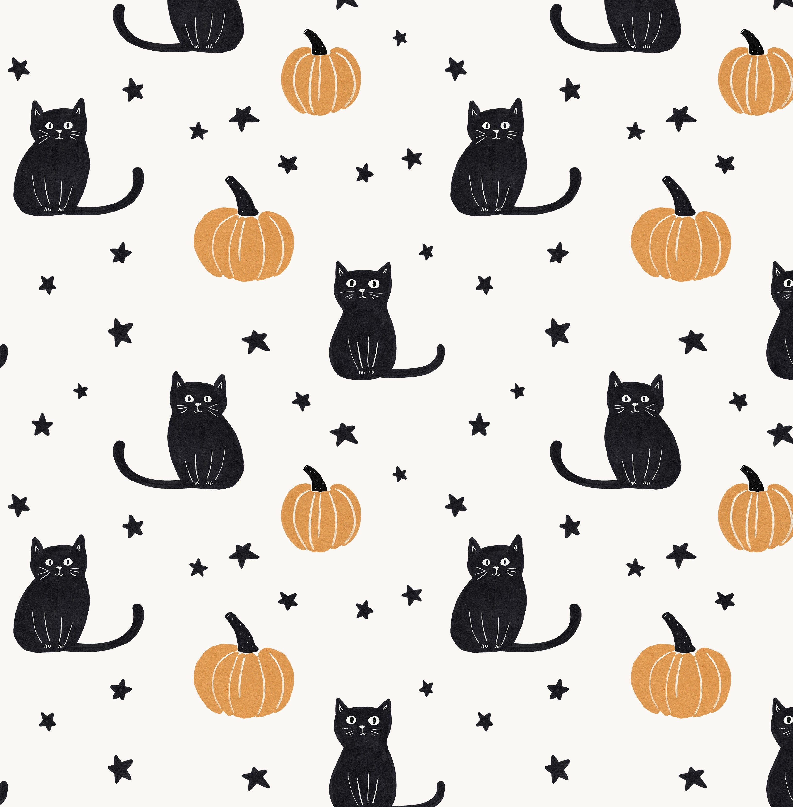 Citrouille et chat