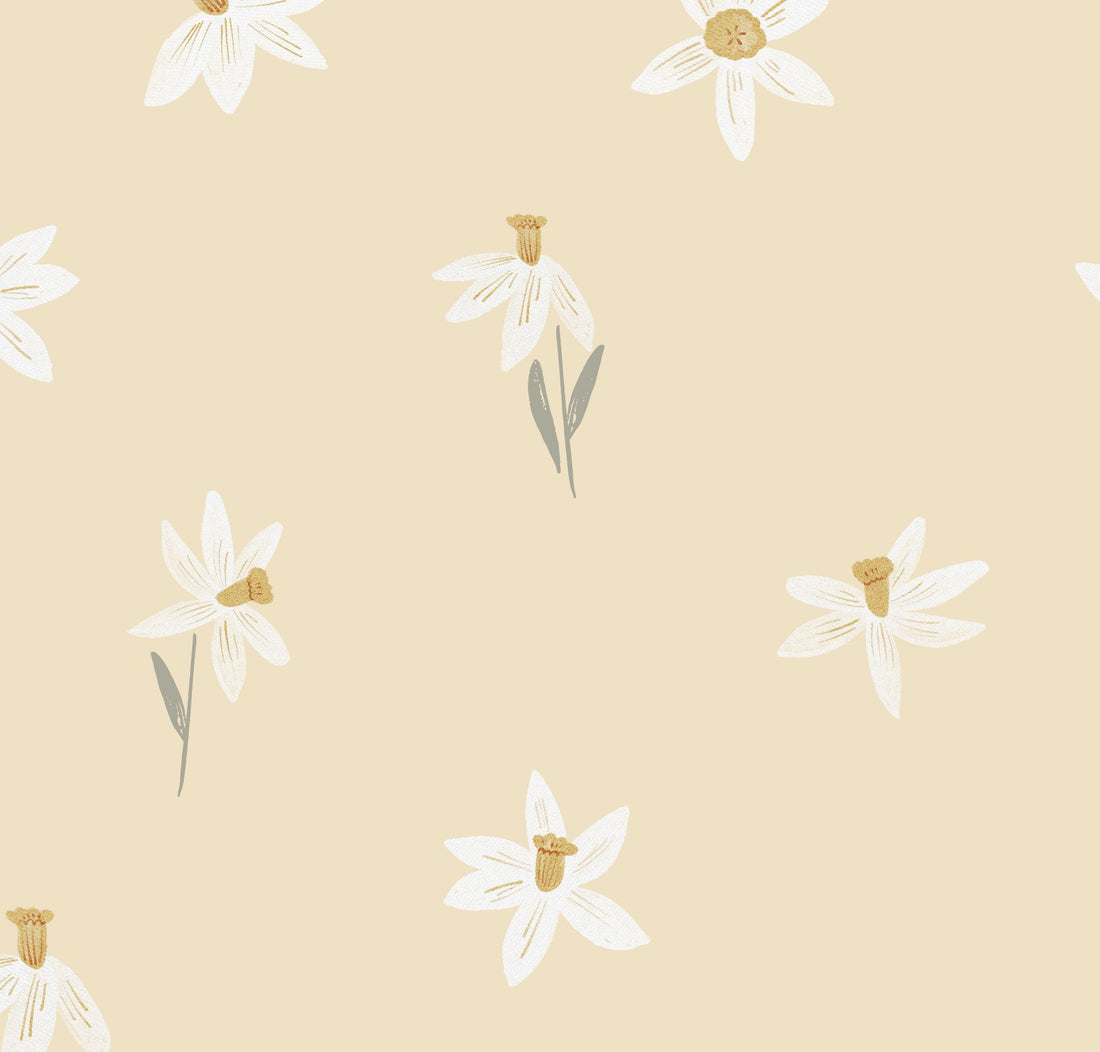 Narcisses