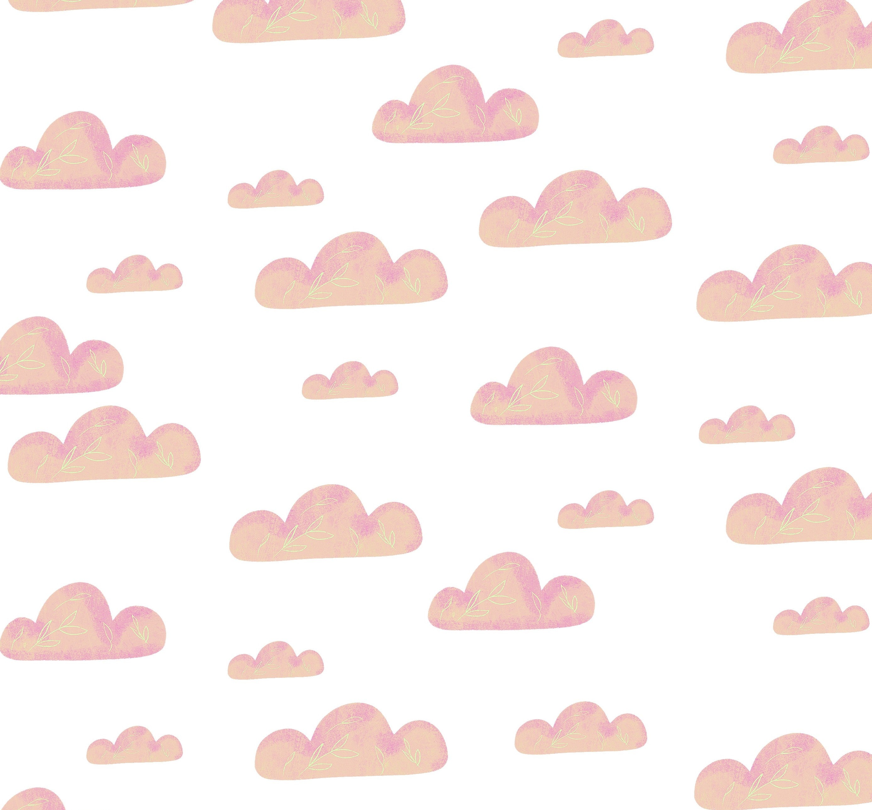 Wolken rosa